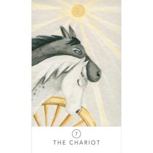 White Sage Tarot - em lata - Imagem 3