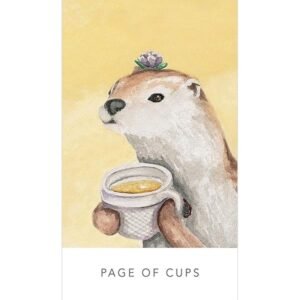 White Sage Tarot - em lata - Imagem 6