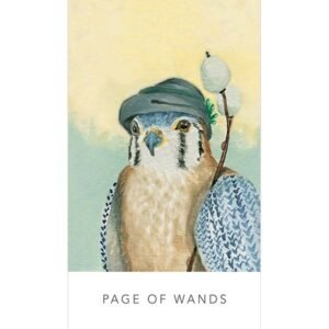 White Sage Tarot - em lata - Imagem 8