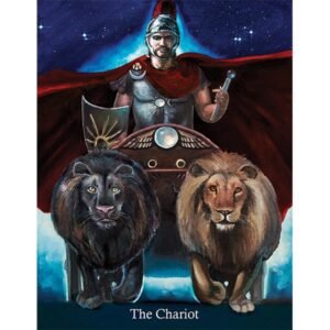 Ancestral Path Tarot - Borderless Edition - Imagem 3
