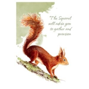 Power Animals: Spirit Guides for Your Spiritual Life - Imagem 5