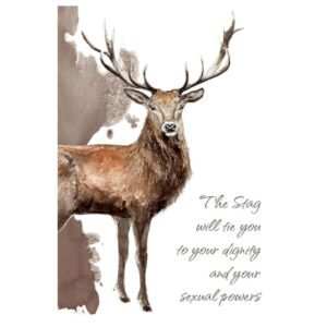 Power Animals: Spirit Guides for Your Spiritual Life - Imagem 3
