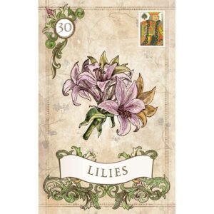 Old Style Lenormand - Imagem 5