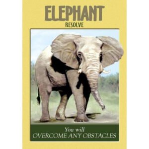 Power Animal Oracle - Imagem 7