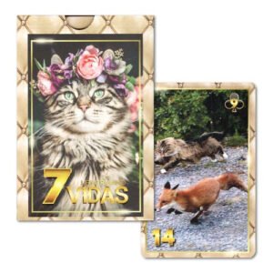 7 Vidas Lenormand