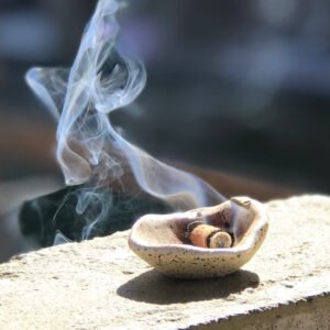 Incenso Sálvia - kit praticante - Imagem 3