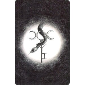 Lua Negra Lenormand (Livro + Cartas com Bordas Grafite) - Imagem 9