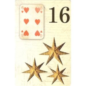 Arara Vermelha Lenormand - Imagem 5