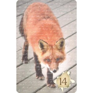 Indie Lenormand - Imagem 5