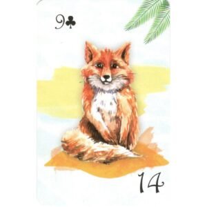 Lenormar - Imagem 5