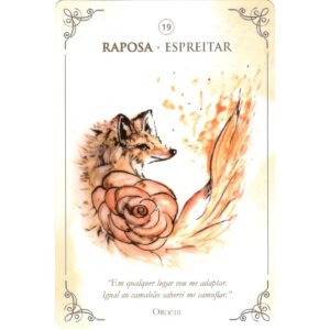 Cartas do Reino Animal (Livro + Cartas) - Imagem 8