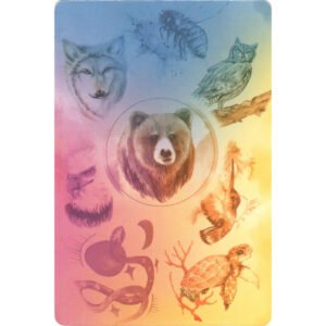 Cartas do Reino Animal (Livro + Cartas) - Imagem 10