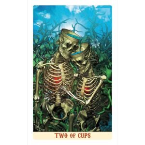 Santa Muerte Tarot - Edição de Bolso - Imagem 7