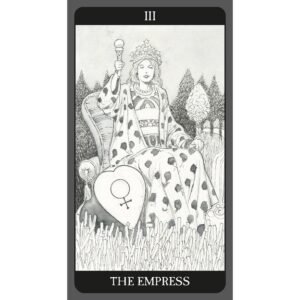 Dark Side Tarot - Kit Edition - Imagem 4