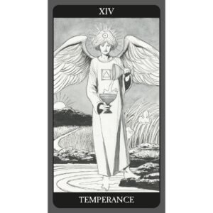 Dark Side Tarot - Kit Edition - Imagem 8