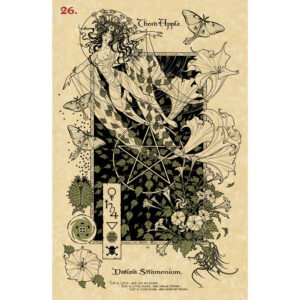 The Magickal Botanical Oracle - Imagem 7