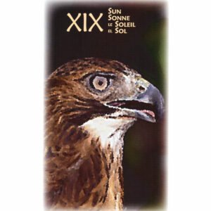 Power Animal Tarot - Imagem 2