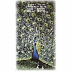 Power Animal Tarot - Imagem 3