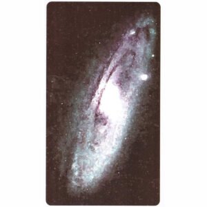 Power Animal Tarot - Imagem 10