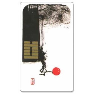 I-Ching de Klaus Holitzka - Imagem 7