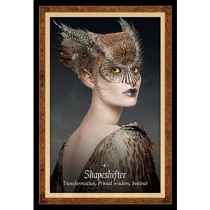The Faery Forest - Imagem 4