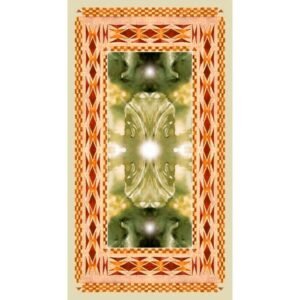 Native American Tarot (Editora Lo Scarabeo) - Imagem 14