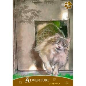 Cats Inspirational Oracle Cards - Imagem 4