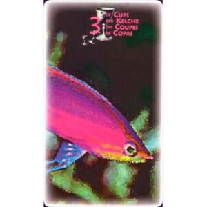 Power Animal Tarot - Imagem 5