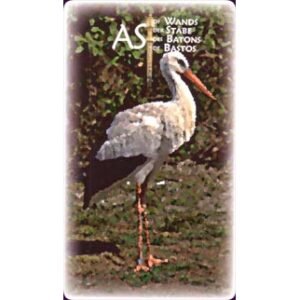 Power Animal Tarot - Imagem 6