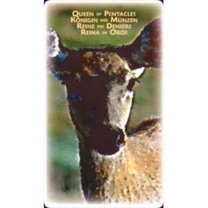Power Animal Tarot - Imagem 8