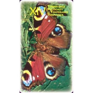 Power Animal Tarot - Imagem 9