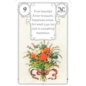 Mlle Lenormand - Red Owl - Imagem 8